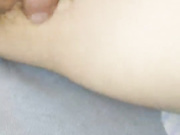 老情人想我了