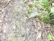 原始森林里足交小姨子被后入爆操抱起来狂插内射骚逼！