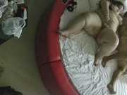 情趣台 兄弟们猎奇了喂 体重目测400斤的坦克见过没 这臀浪胸涛的 说话都晃 支持口交后入哦3